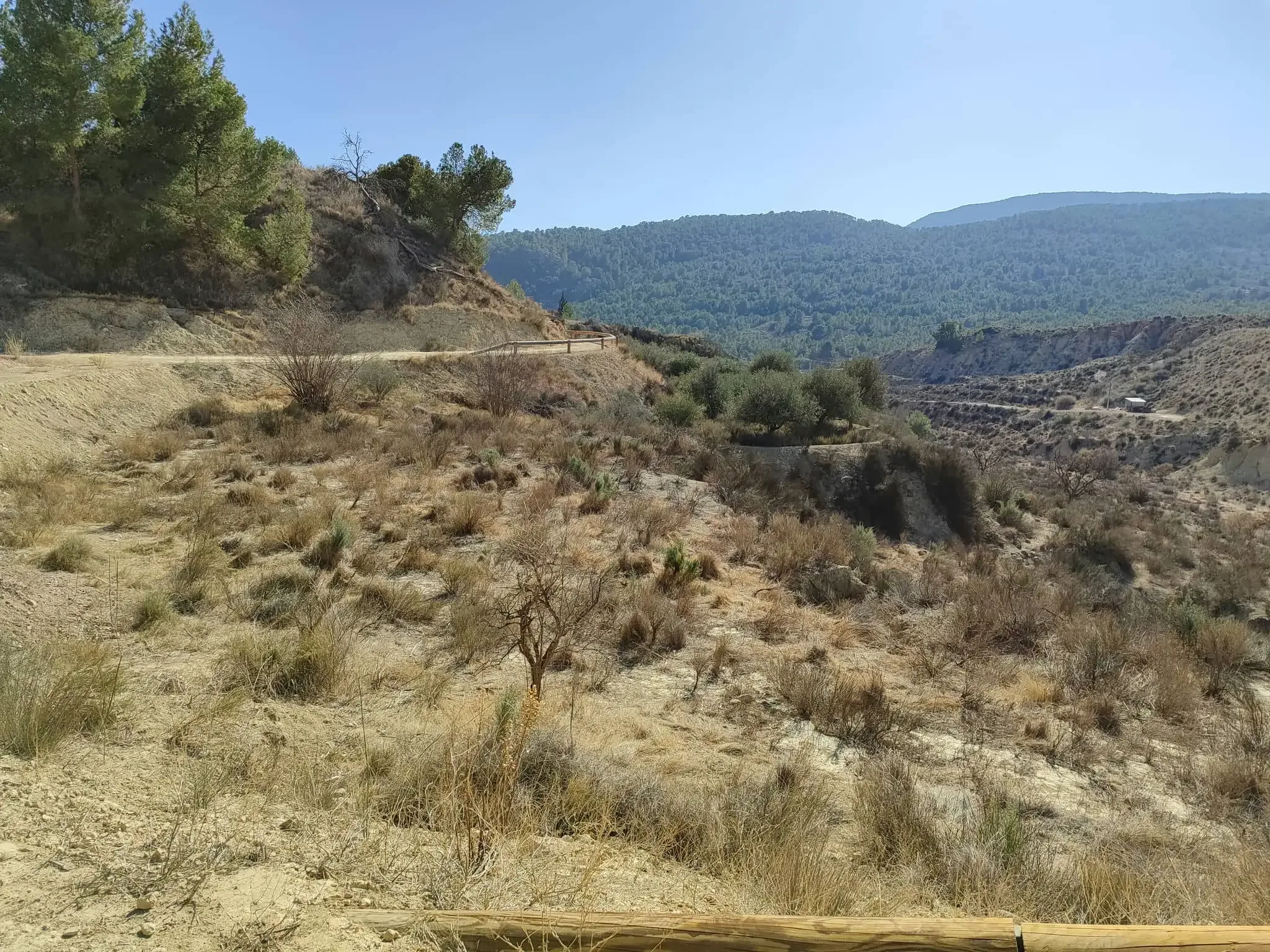 Stenen formaties en wandelroute door Estrecho de la Arboleja bij Aledo, uitzicht 5
