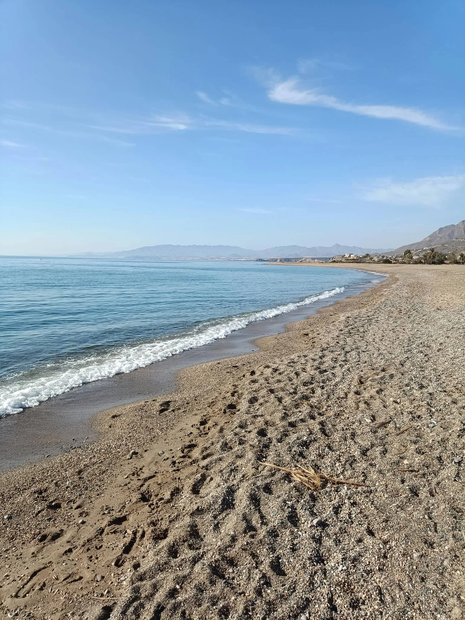 Dog-friendly Playa de las Moreras on the Mazarrón coast, view 5