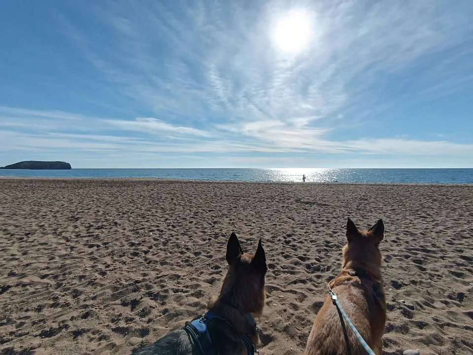 Dog-friendly Playa de las Moreras on the Mazarrón coast, view 1