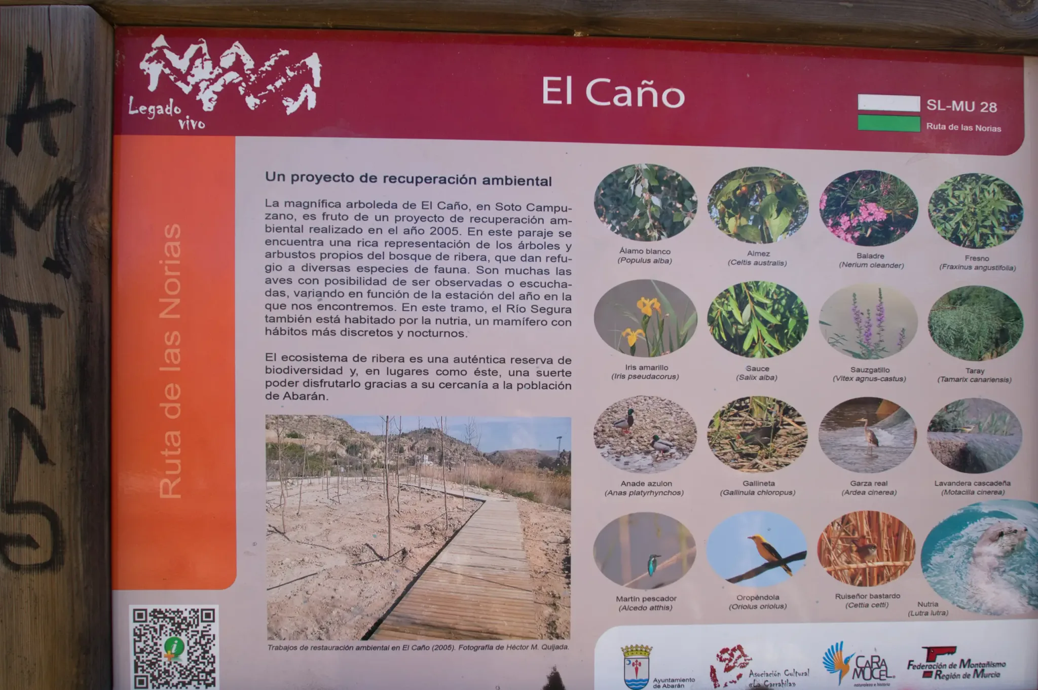 Historic waterwheels, river scenery and paths on the Ruta de las Norias in Abarán, view 13