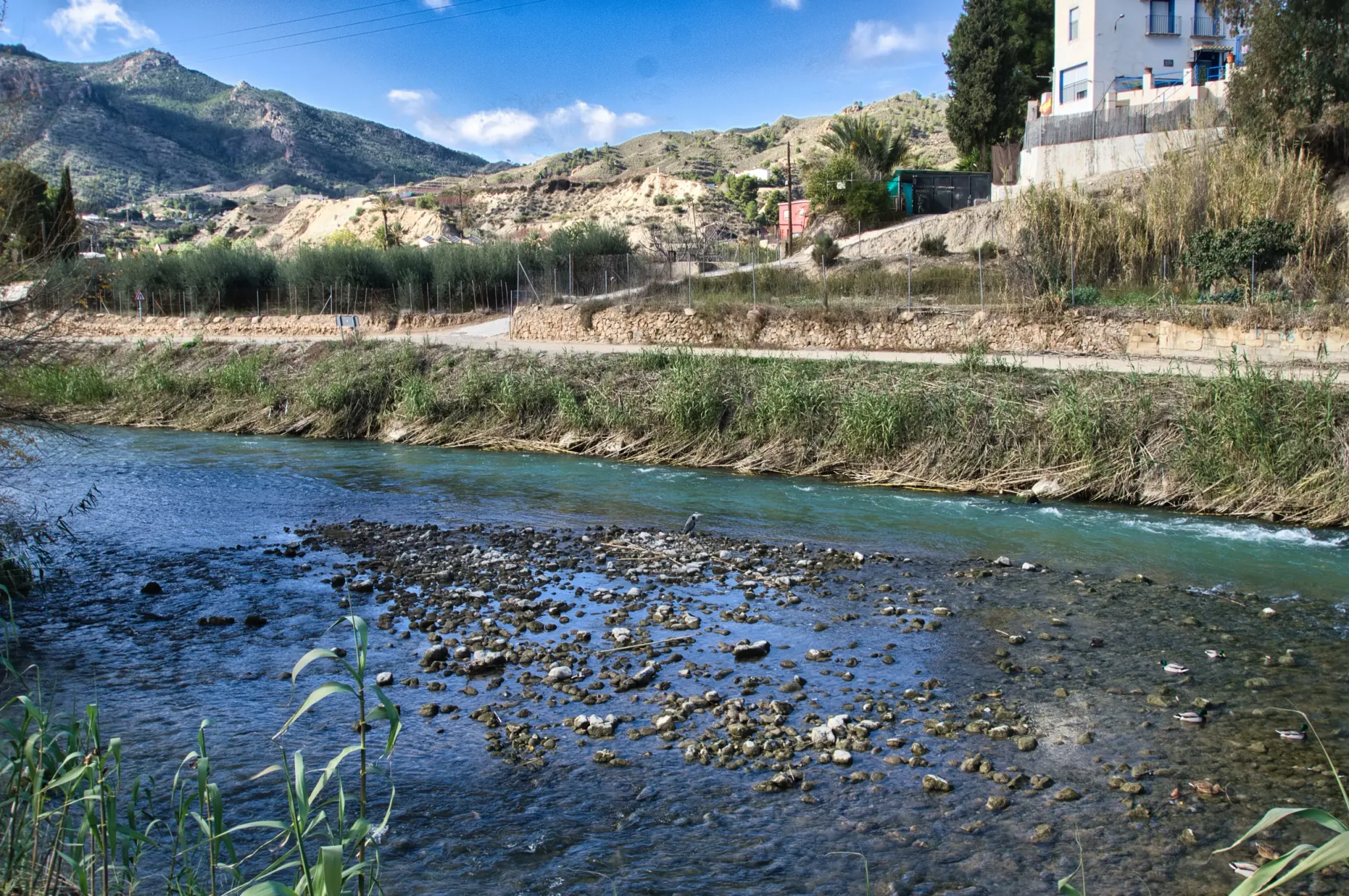 Historic waterwheels, river scenery and paths on the Ruta de las Norias in Abarán, view 10