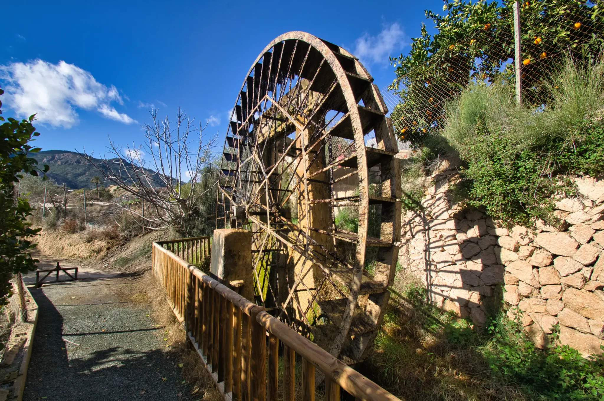 Noria Grande waterwheel beside an irrigation channel in Abarán
