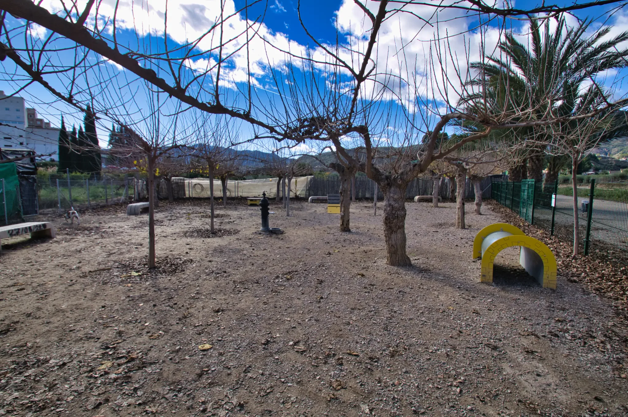 Historic waterwheels, river scenery and paths on the Ruta de las Norias in Abarán, view 8