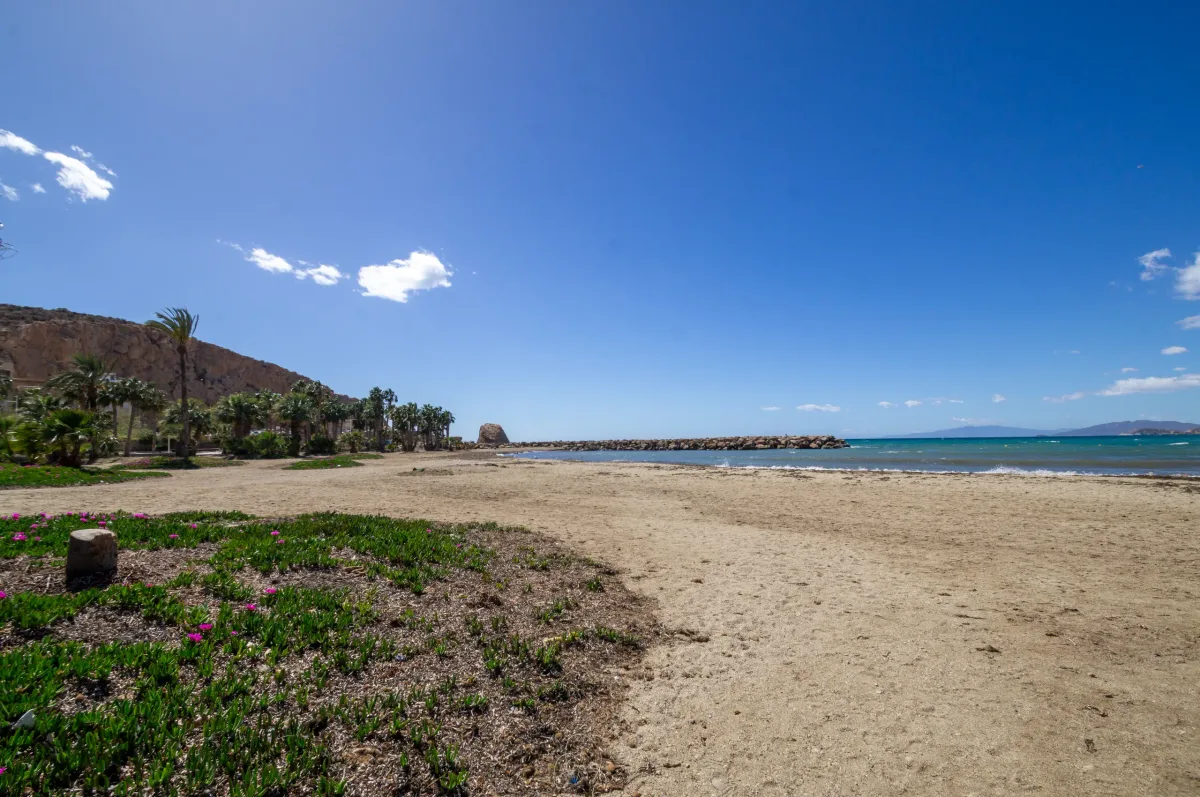 Playa de La Colonia con palmeras junto al paseo