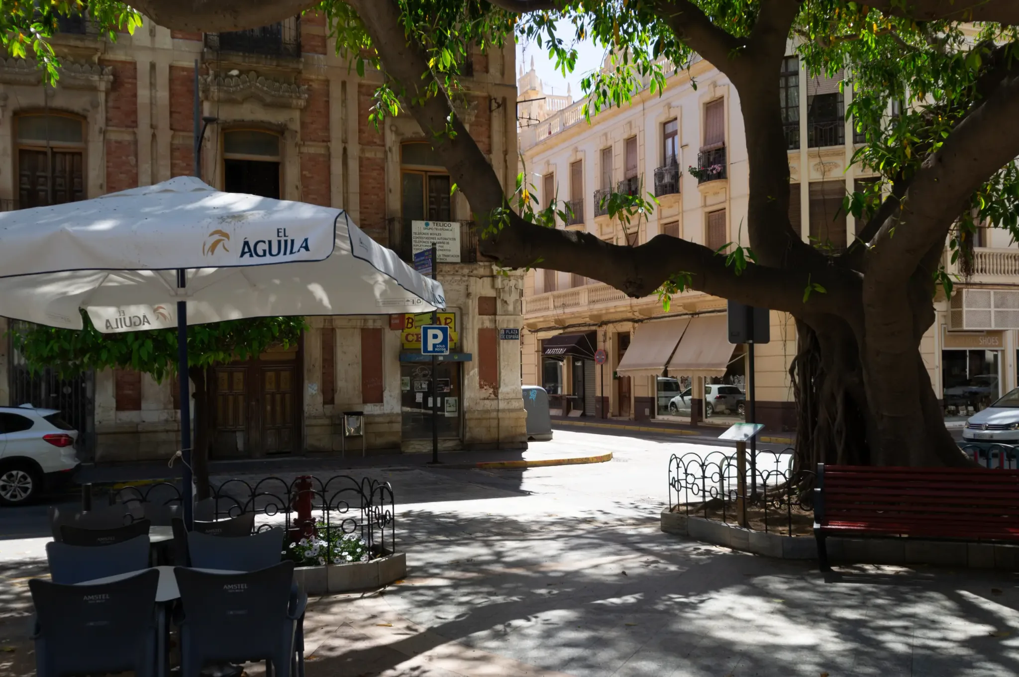 Cafe terraces beneath mature trees in an Águilas square