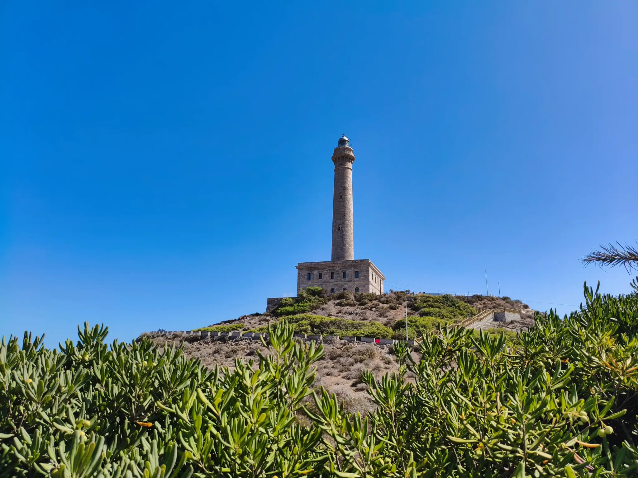 Cabo de Palos Lighthouse seen from the coastal path across low vegetation
