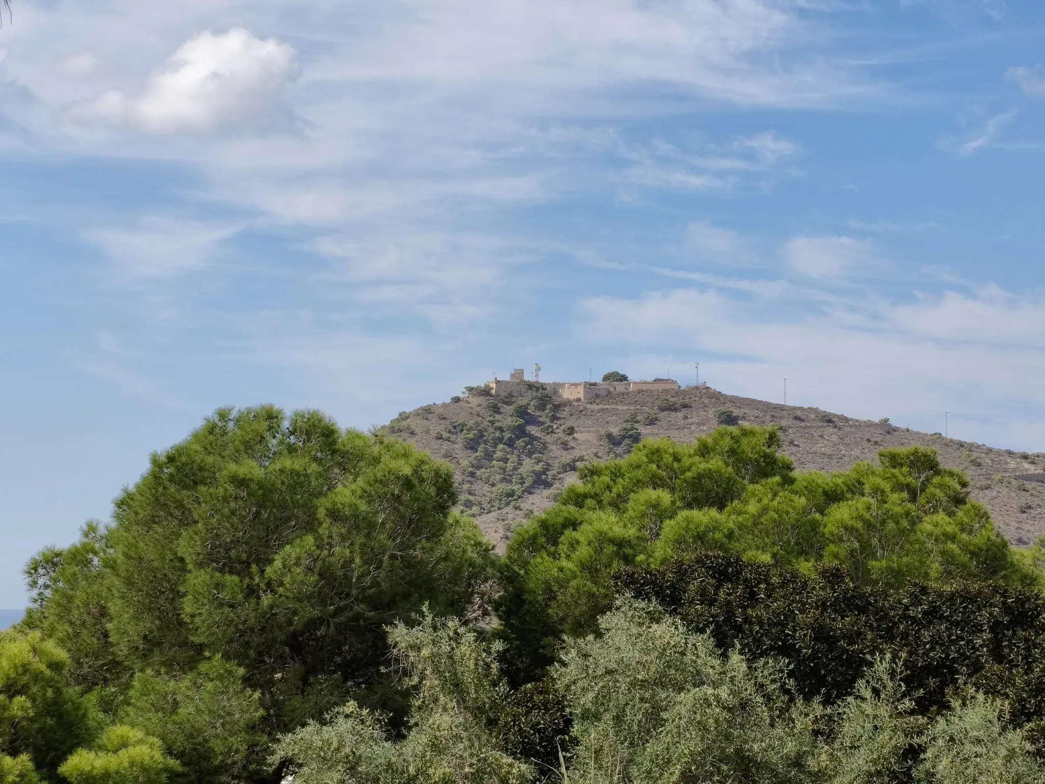 Concepción Castle visible above the trees of Parque Torres