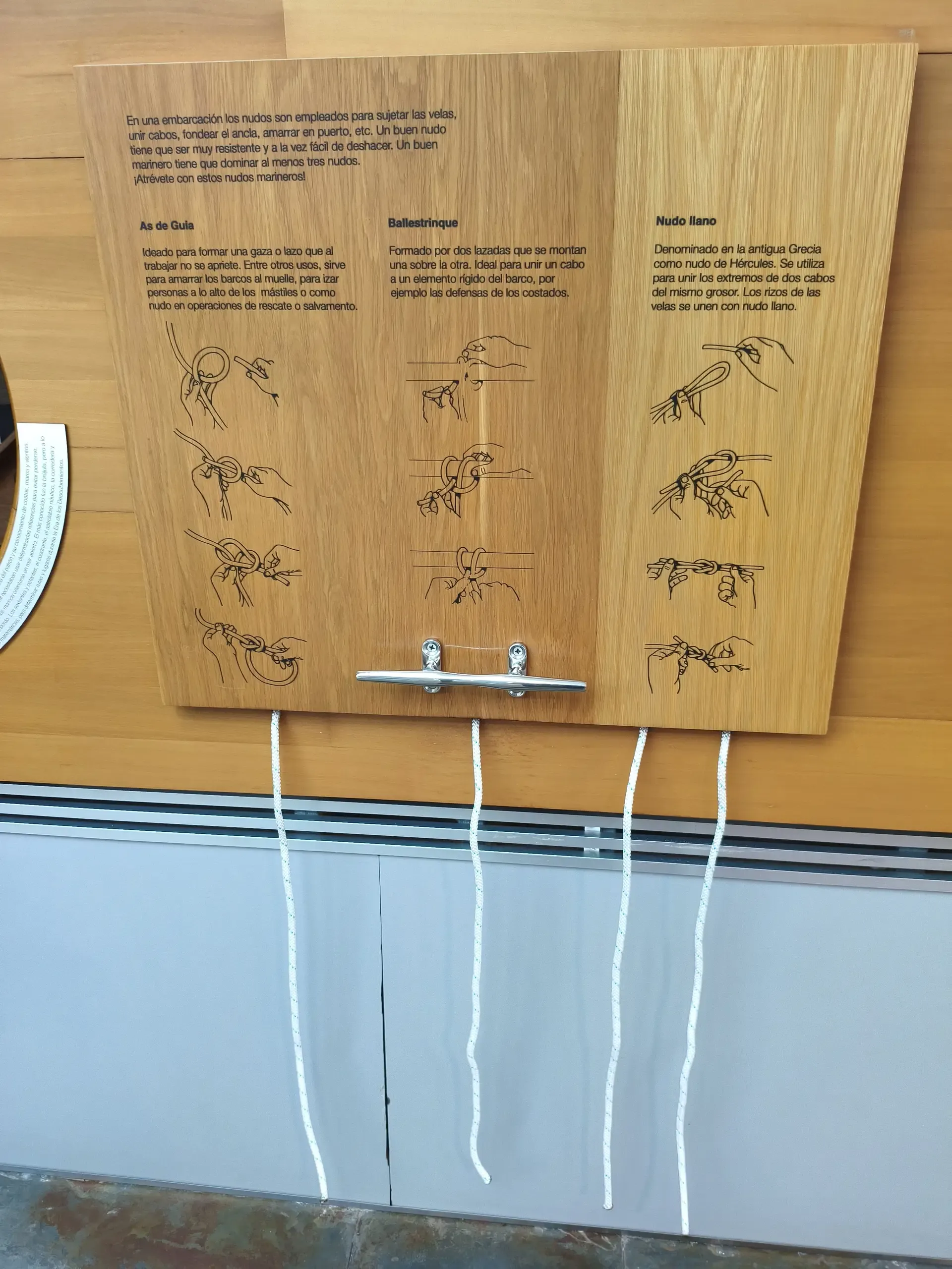 Preserved ancient wooden pieces mounted for display