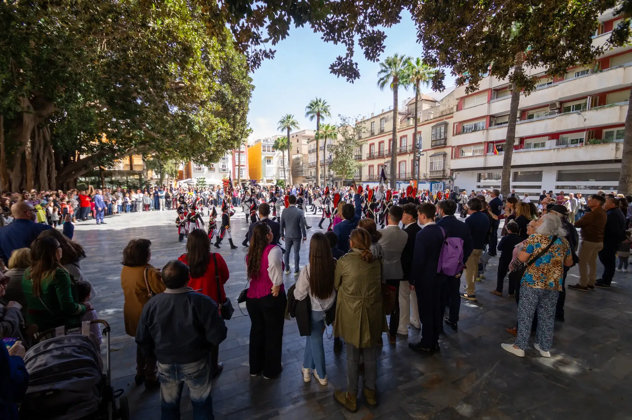 Plaza San Francisco bordée d'arbres à Carthagène, vue 4
