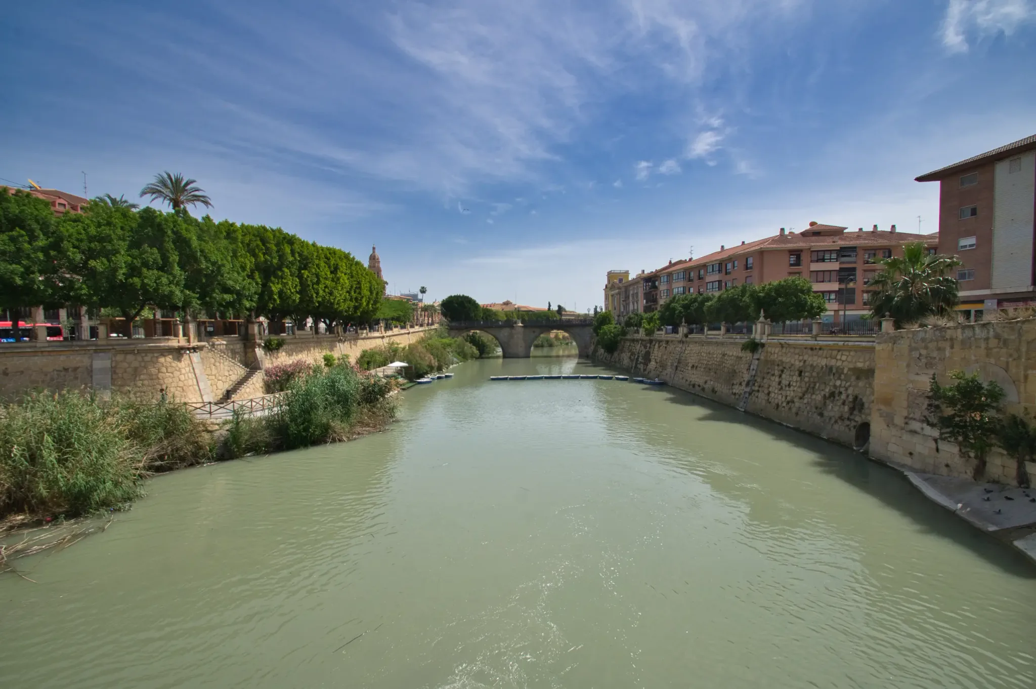 Segura rivier en bruggen door Murcia stad, uitzicht 4